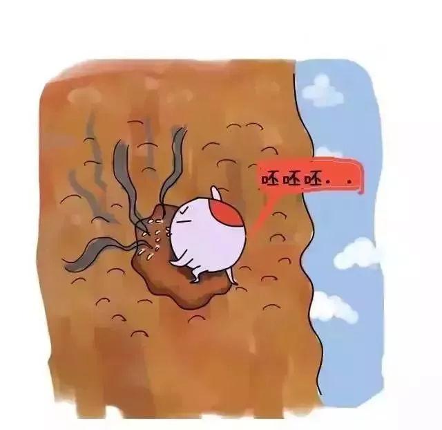 受精卵着床需要几天