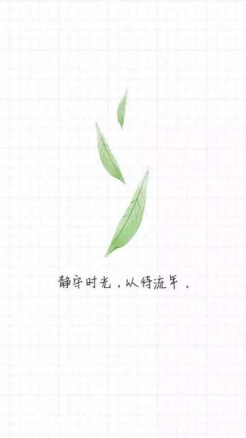 英文的表白情话短句
