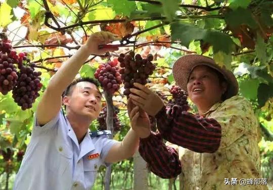 返乡人员创业贷款政策(农业农村部:回乡创业有补助，个人最高可获20万元财政贴息贷款)