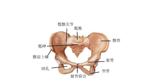 孕期逃不掉的疼痛如何轻松缓解