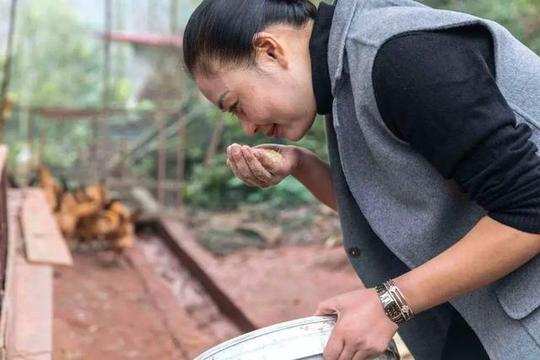 中药鸡创始人张正群返乡创业背后的梦想与坚持