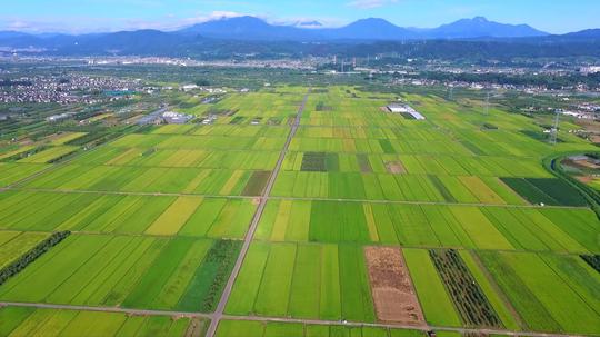 航拍千亩良田_3840x2160_高清视频素材下载(编号:660)
