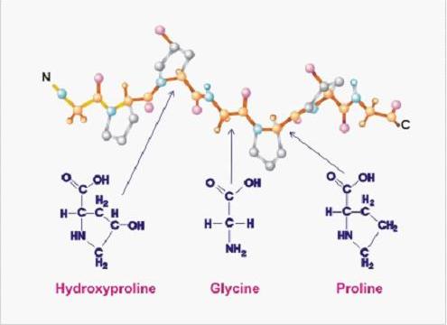 kolla2的分子结构