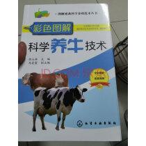 图解畜禽科学养殖技术丛书:彩色图解科学养牛技术(全彩图解+二维码视频)实拍图