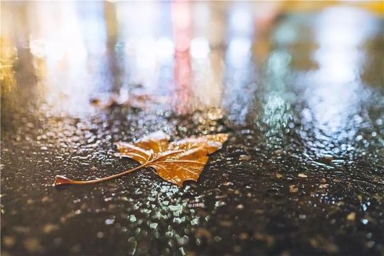 tips4,在雨中拍摄/下雨天是一个去拍摄水珠以及雨中路灯或霓虹灯