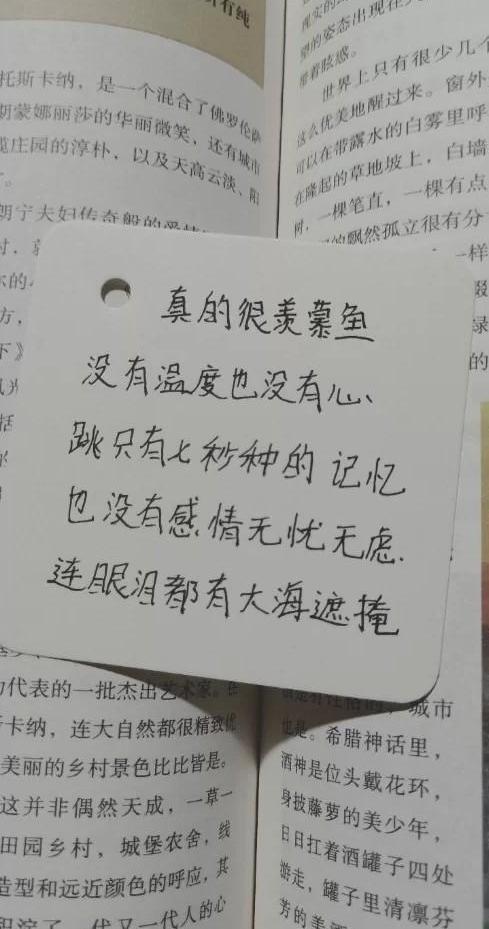丧系语录集，时间没有让我忘记疼，只是让我习惯了痛