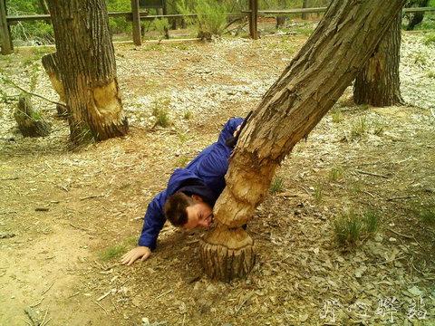 宝宝总是摸小鸡怎么回事