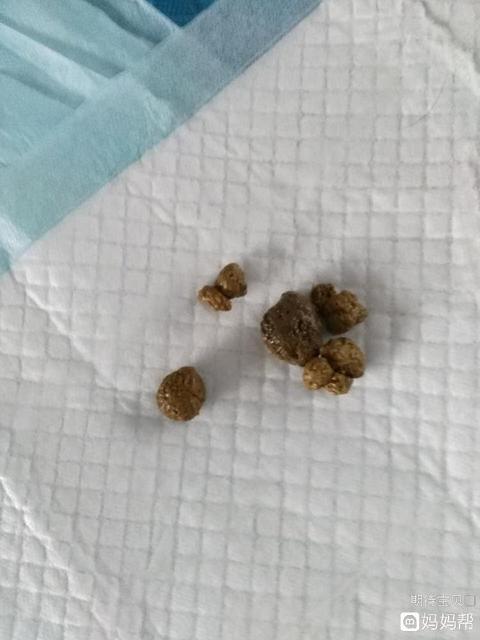 7个月宝宝便秘