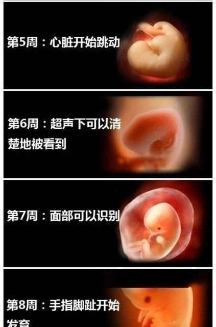 早孕反应对胎儿发育有什么影响