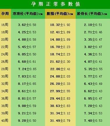 股骨长是指胎儿哪里的长度