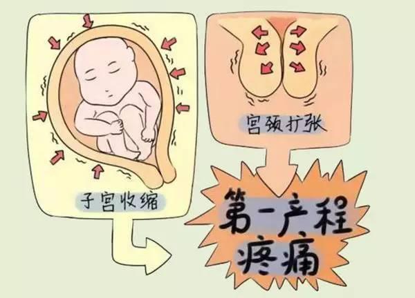 这3种食物孕妈要常吃