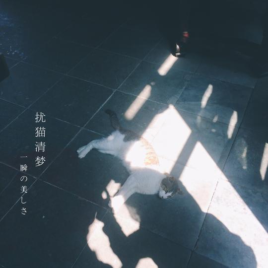 br/>全世界所有孤独的午后阳光和斯斯艾艾的伤感!