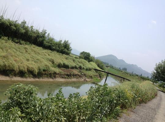 杭州余杭区余杭镇中南村官贪污农田水利用地没人查办
