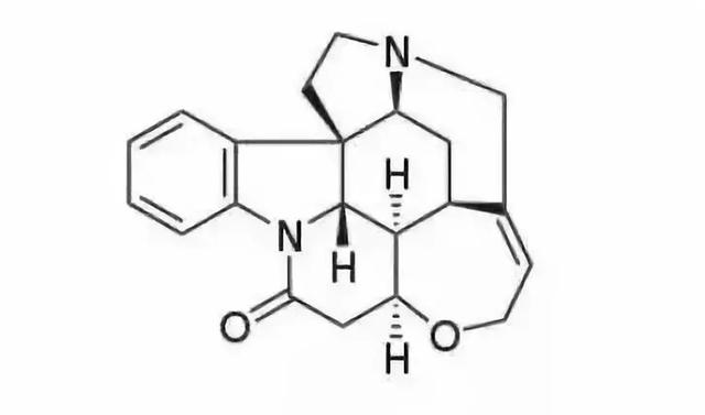 万通筋骨片的说明书