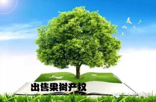 8个另类创业赚钱金点子,白手起家也能发财致富!