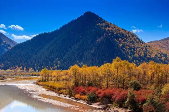 【国庆中秋双节钜惠—冷门】秋意浓●在天山那面—6日自驾游