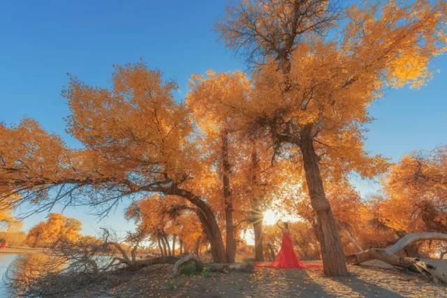 喜欢秋天的说说朋友圈