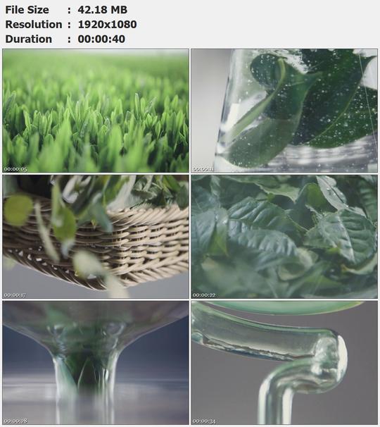绿色植物树叶水果萃取植物精华高清实拍视频素材