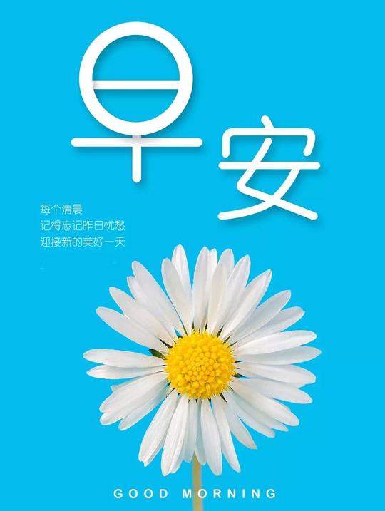 免费领取|微信朋友圈早安晚安励志文案与素材(1103)