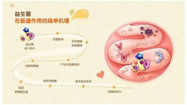 宝宝吃益生菌有什么好处