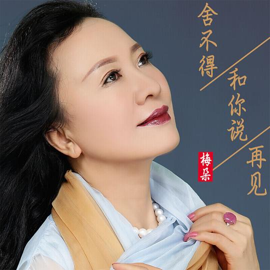 跃能适用于梅朵cd专辑精选【多年以后】经典伤感情歌汽车载cd光盘无损2碟片