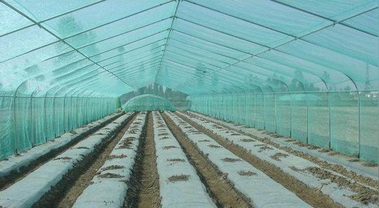 果园白色保护地膜农用白膜塑料布农业黑色新款黑膜薄膜温室加厚种