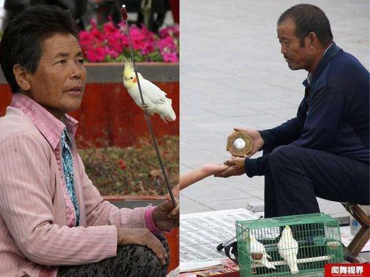 微分享|老人"神鸟算命"日赚千元上厕所骗术被揭秘