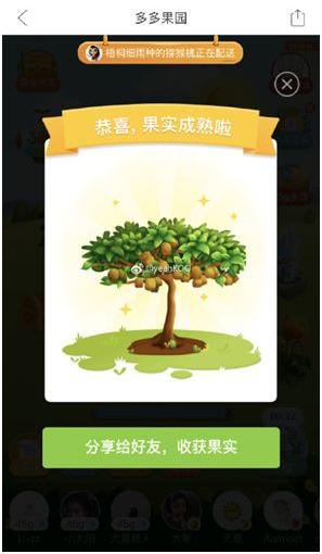 和家人的微信对话已经只有多多果园的链接了这样的举家种树的欢乐场