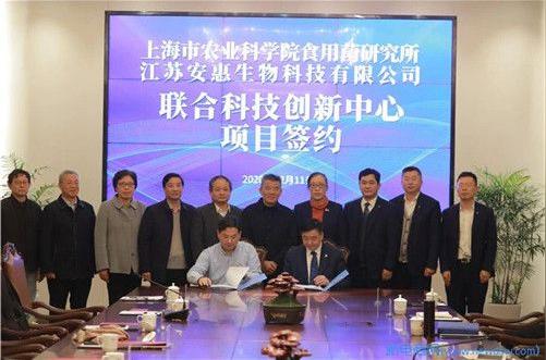 深度合作!安惠和上海农科院食用菌研究所成立联合科技创新中心