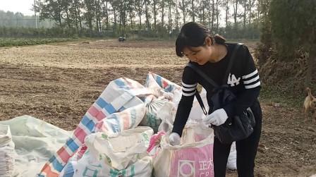 谁说种地不赚钱?农村大叔种植6亩花生竟挣1万多，看他怎么做到的