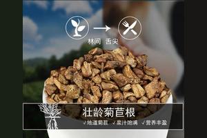 菊苣茶的功效 菊苣茶功效与作用禁忌 茶百科