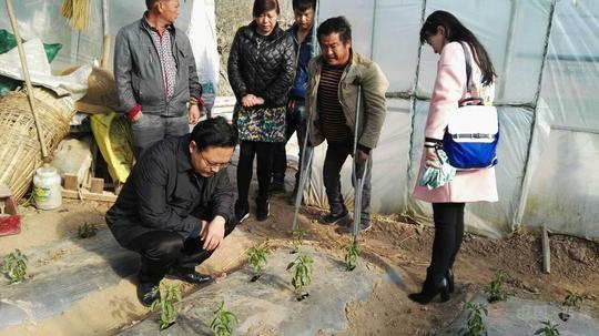 市领导调研我市残疾人居家灵活就业(创业)工作情况