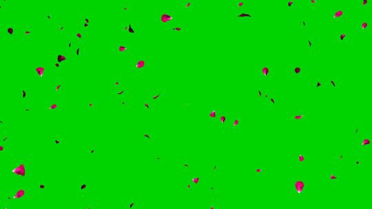 4k绿色通道高清花瓣落下花瓣雨视频素材_3840x2160