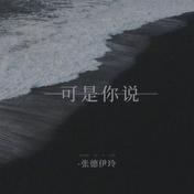 可是你说(张德伊玲)