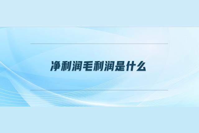 收入证明是填写税后收入还是净收入？