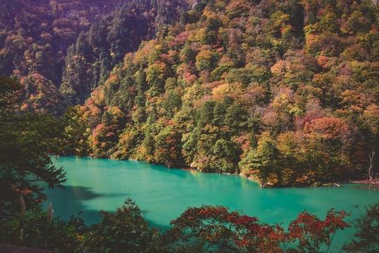 日本黑部峡谷—冷门景点搭着小火车赏枫叶,欣赏大自然