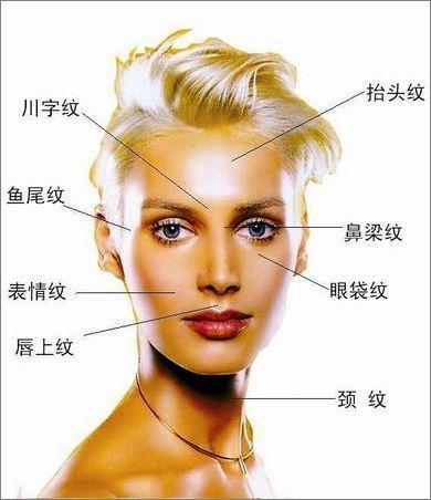 肾脏不好如何调理肾脏