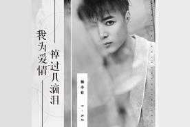 我为爱情掉过几滴泪(杨小壮)