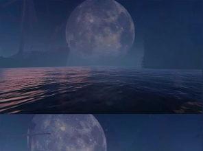 3d夜晚海洋圆月视频素材模板下载动态特效背景背景视频大全编号18377214