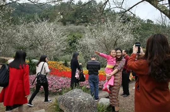 素材来源:广东天露山旅游度假区周边自驾车路线在这驾车路线