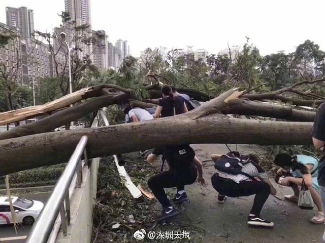 天气太热对宝宝有什么影响
