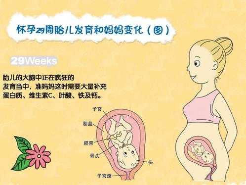 8个月的宝宝生长发育标准