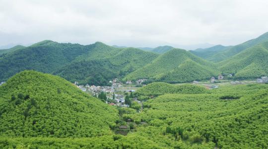 竹林风——安吉的天下银坑
