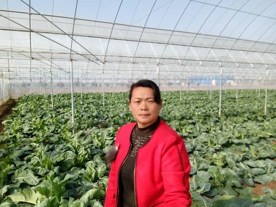 夫妻同心"连体"富民—记幸福农家长荡镇杨洪萍一家