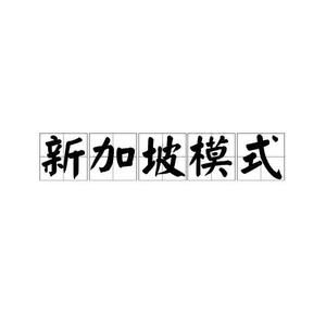 新加坡建立的治国方略