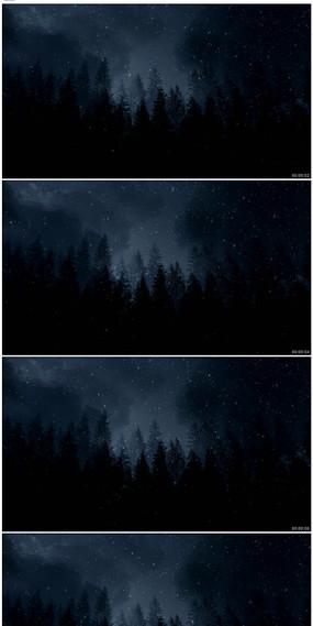 下雪飞鸟视频下载收藏冬天雪景视频素材下载收藏夜晚森林雪景视频