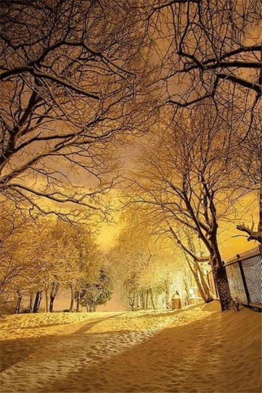 春有百花秋有月,夏有凉风冬有雪.若无闲事挂心头,便是人间好