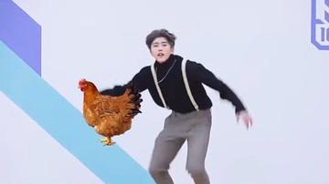 鸡你太美蔡徐坤表情包