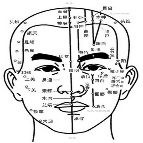 健脑按摩穴位图