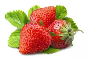 草莓有什么营养价值（带你认识草莓的真面目）插图
